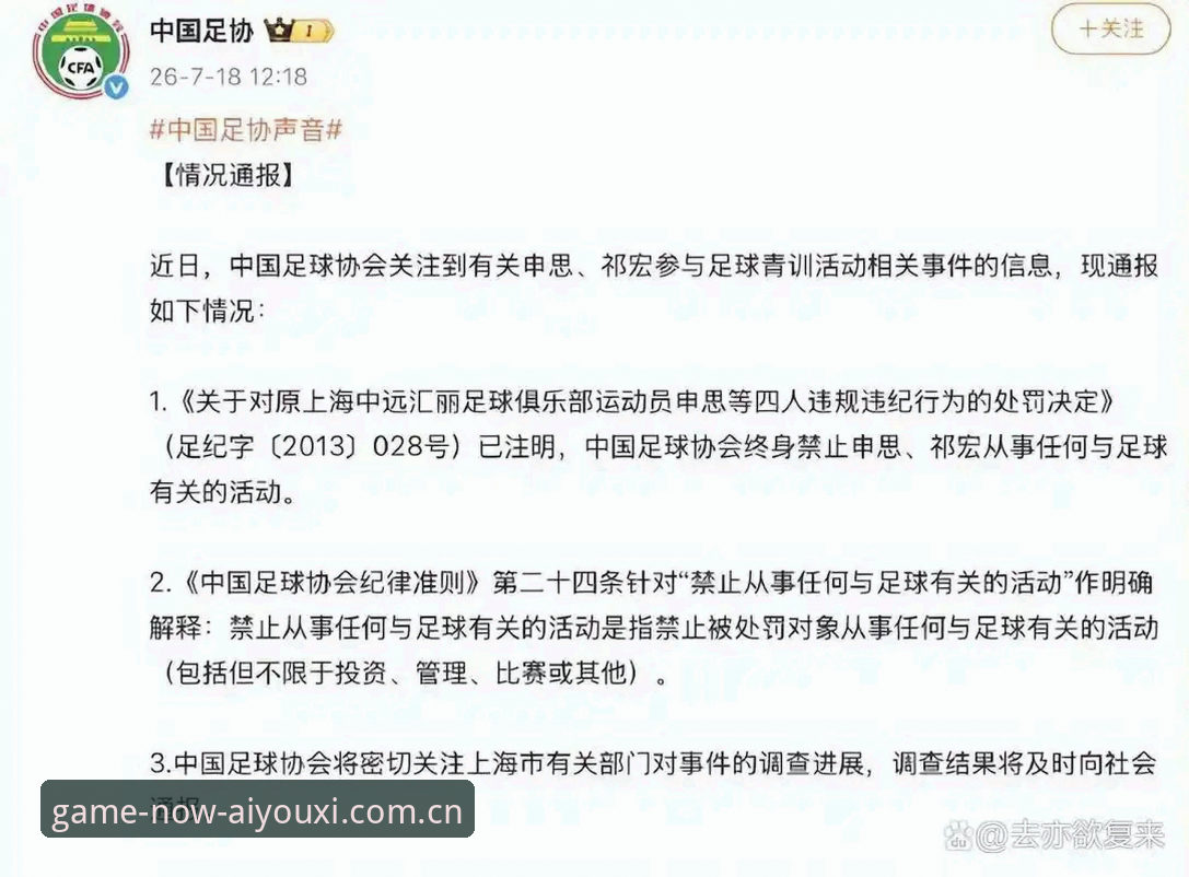 爱游戏APP中国官网 足协第三批禁足名单深度分析:17人终身禁足,爱游戏APP中国官网同步哪些硬信号
